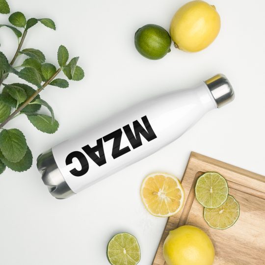 Stainless Steel Water Bottle